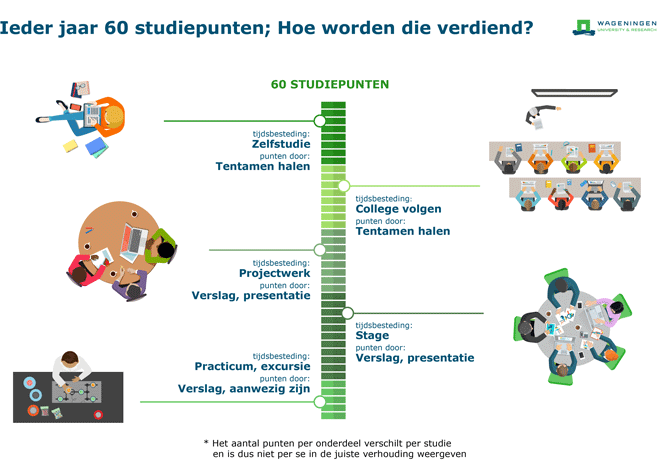 studiepunten HBO cpts
